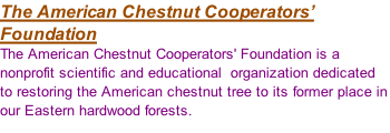 The American Chestnut Cooperators’ Foundation The American Chestnut Cooperators' Foundation is a nonprofit scientific and educational  organization dedicated to restoring the American chestnut tree to its former place in our Eastern hardwood forests.