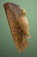 Flicker