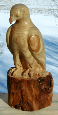 peregrinejim