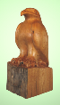 butternuteagle