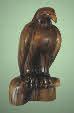 eaglecucumber
