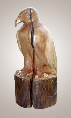 Eagle2