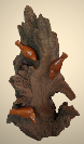 nuthatchesonwalnutroot 