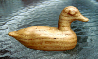 miniatureduck.JPG