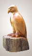 butternutfalcon