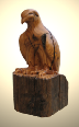 peregrinechestnut