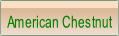 American Chestnut.