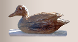 bigduck.JPG
