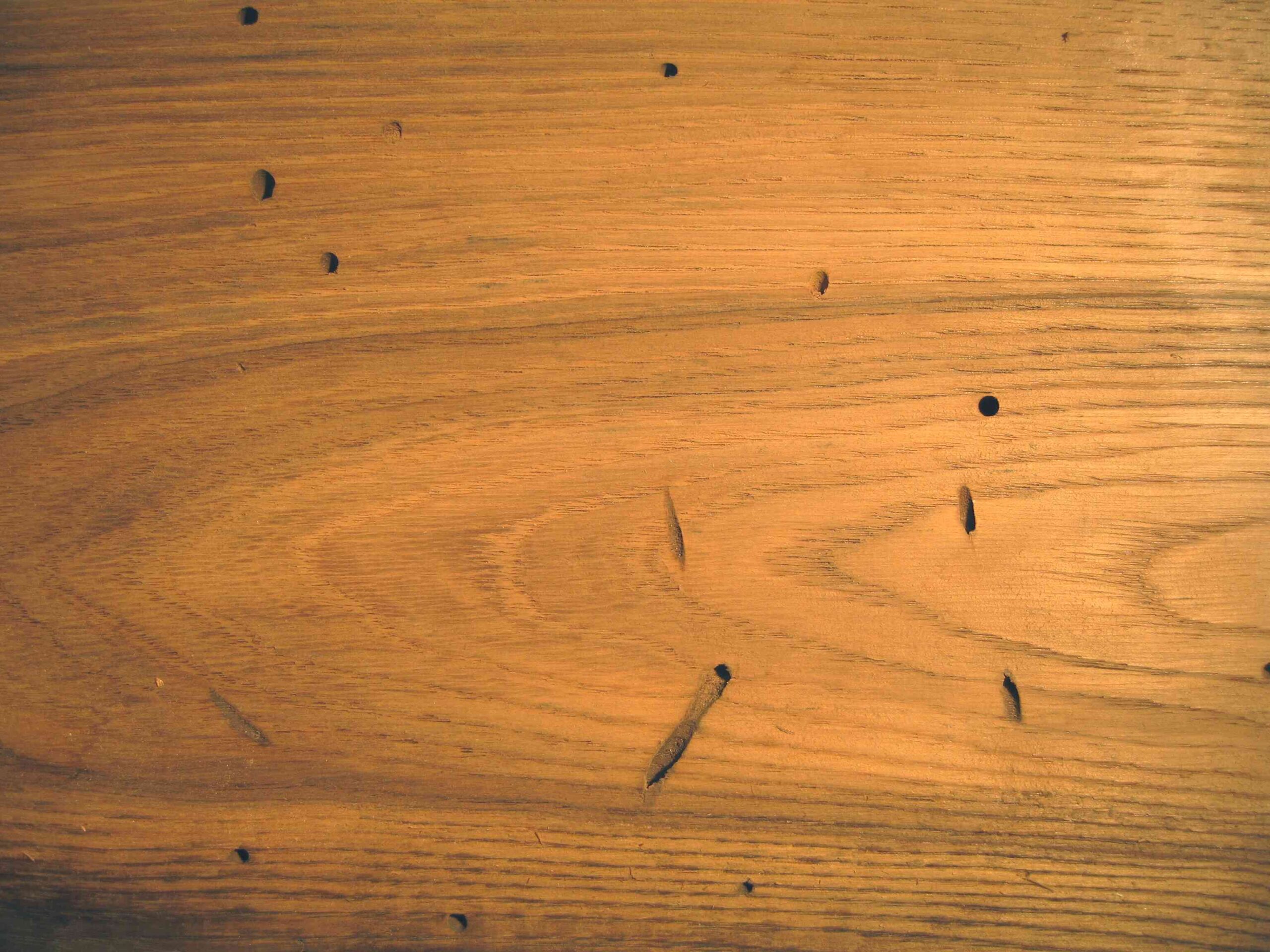 photograph of a board of american chestnut wood with worm holes