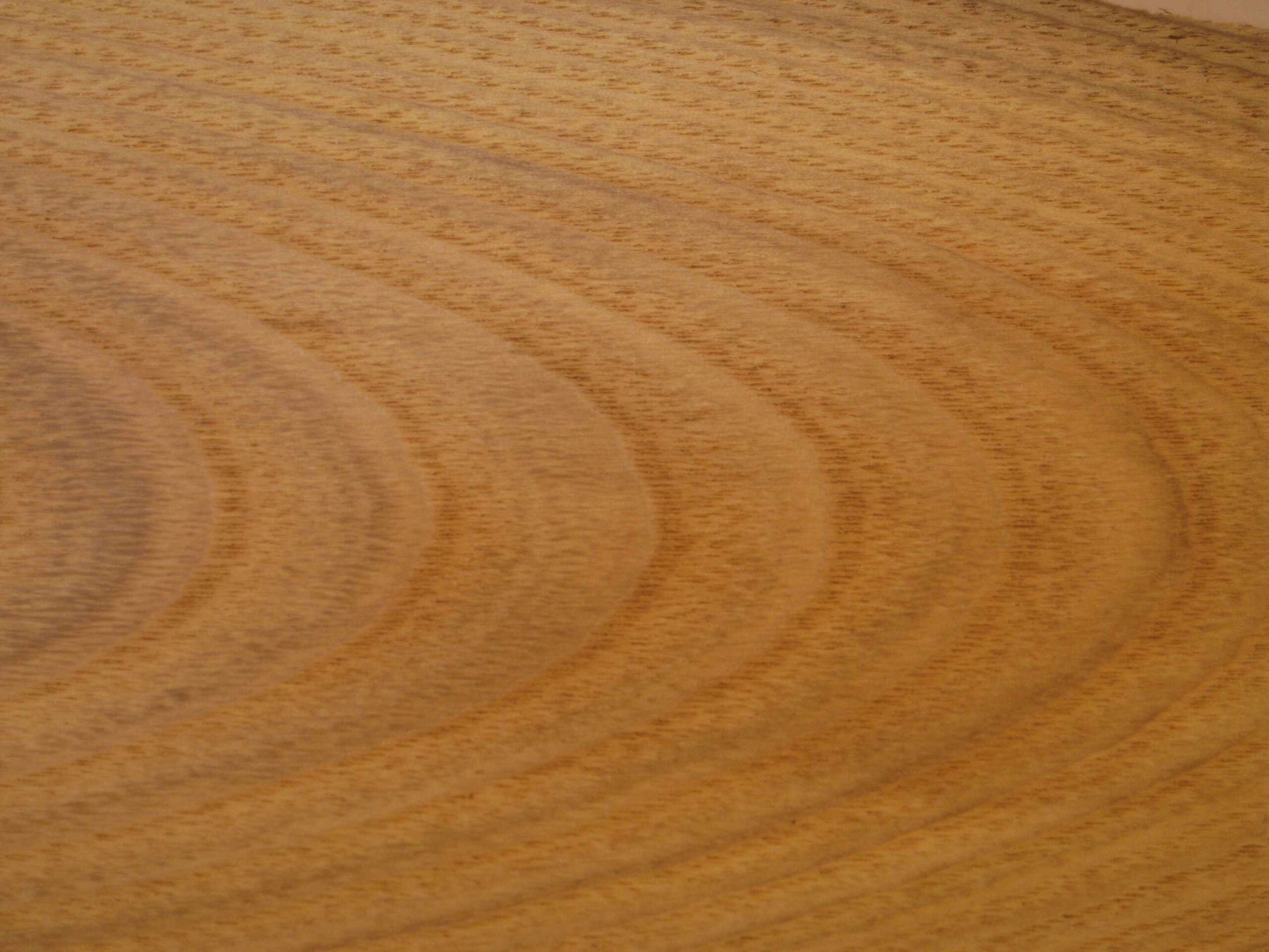 close up photograph of the face grain of a board of american chestnut wood