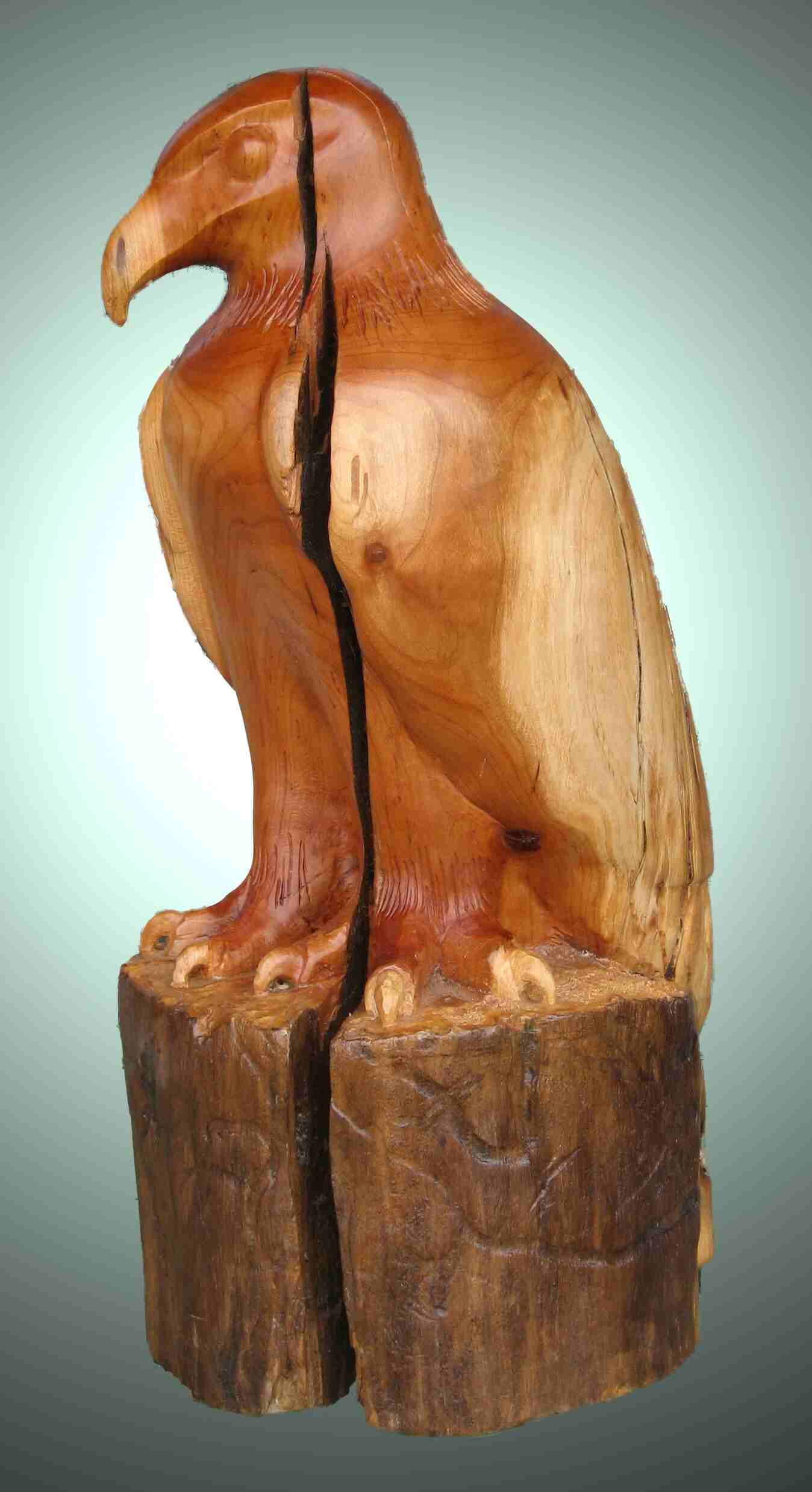 stylized cherry wood carving of an eagle by gary carver of carverscarvings