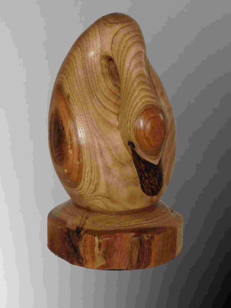 photograph of a stylized chestnut wood carving of a baby swan shaped like an egg by gary carver of carverscarvings