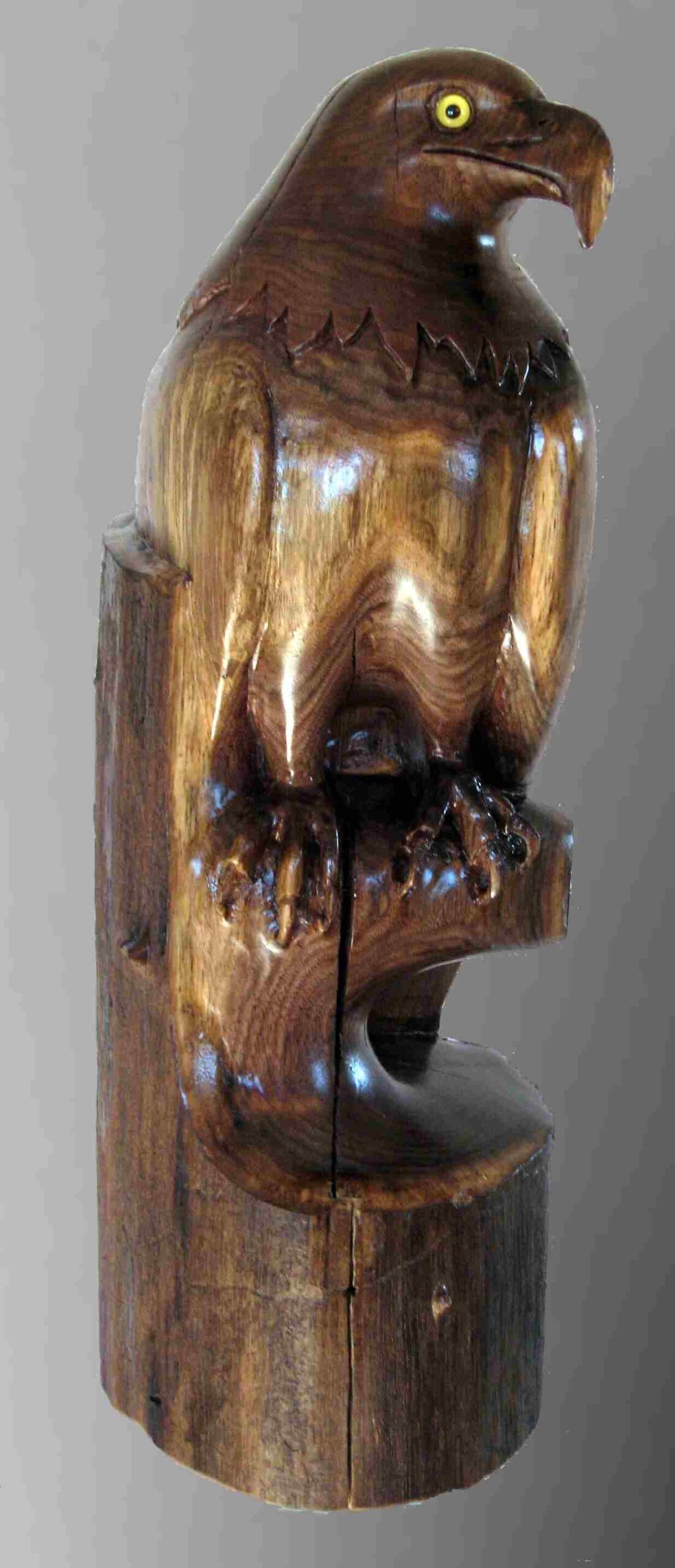 black walnut wood carving of an eagle by gary carver of carverscarvings