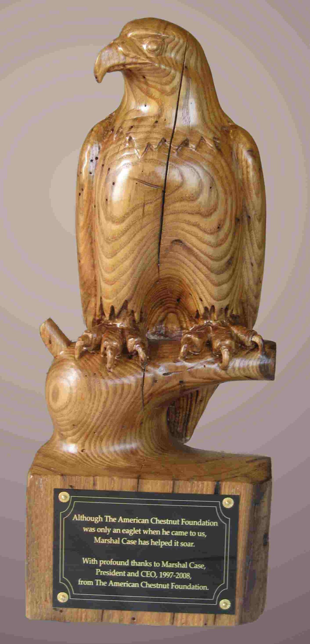 stylized wood carving of an eagle in American chestnut wood by gary carver of carverscarvings