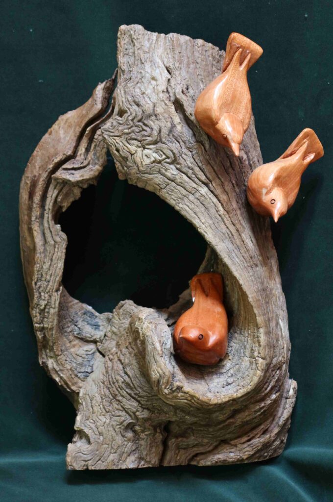 stylized wood carvings of three nuthatches mounted on a burl of wood by gary carver of carverscarvings