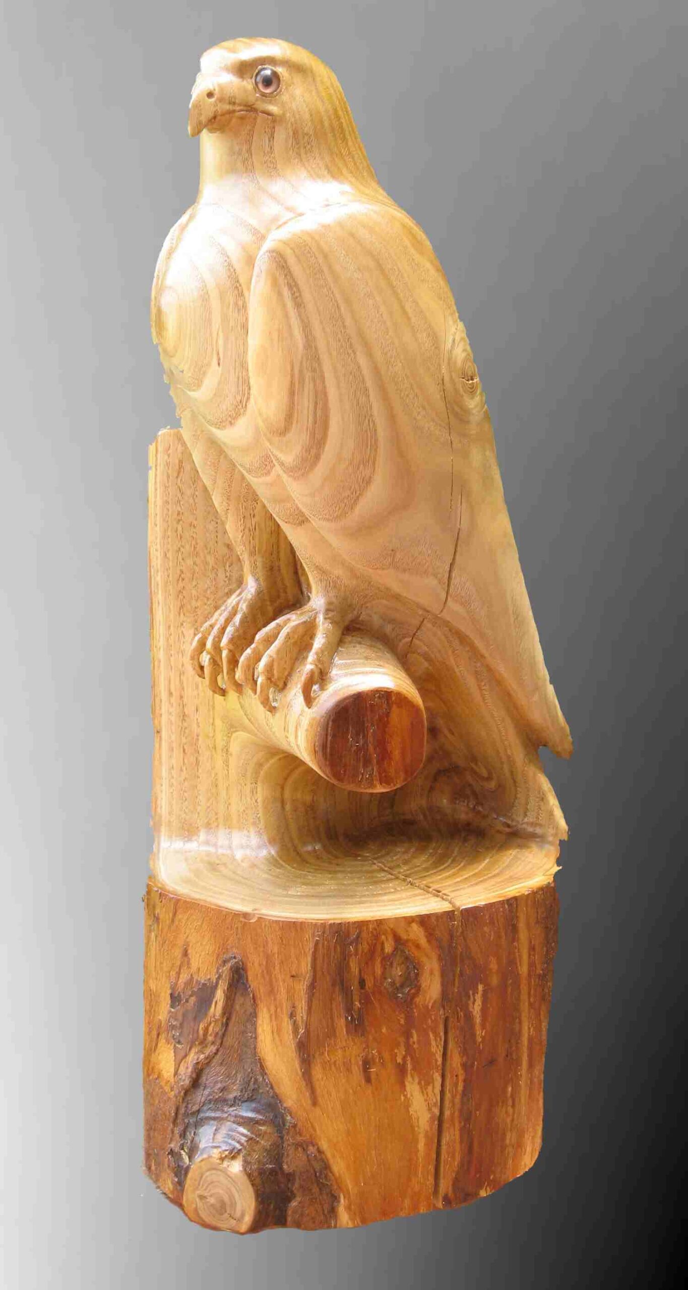 stylized american chestnut wood carving of a peregrine falcon by gary carver of carverscarvings