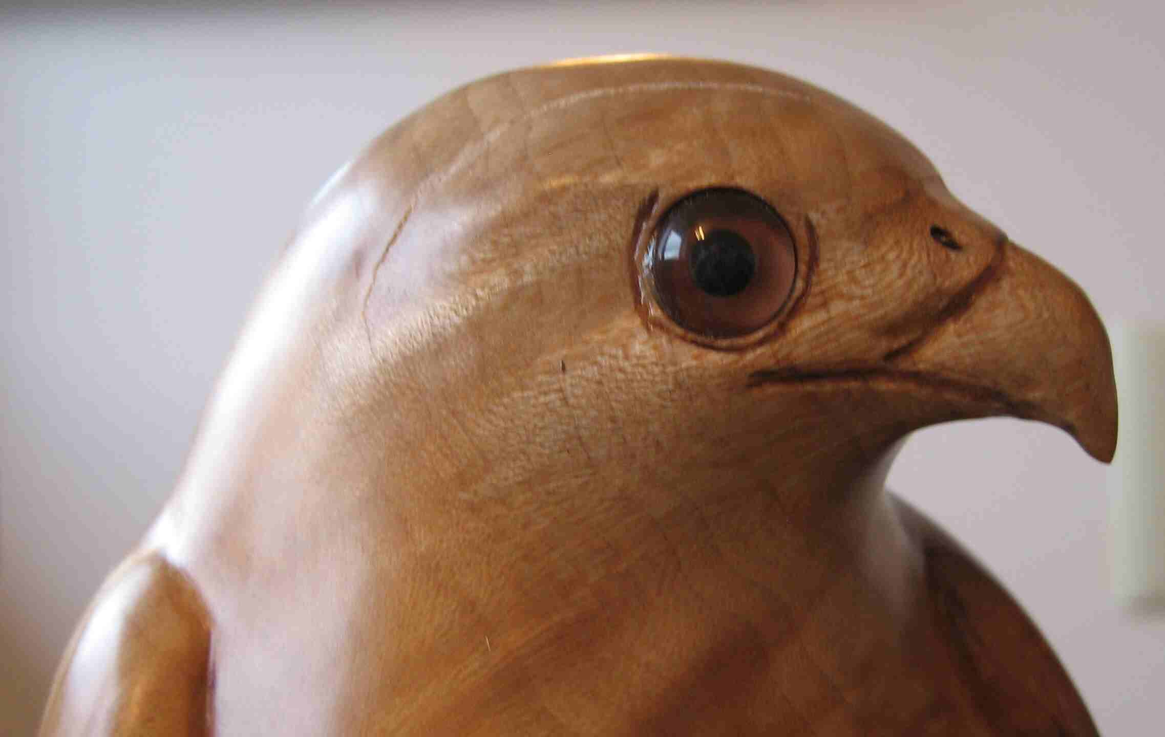 closeup of red tailed hawk stylized wood carving by gary carver of carverscarvings