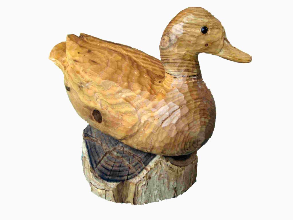 stylized chestnut wood carving of mallard drake duck by gary carver of carverscarvings