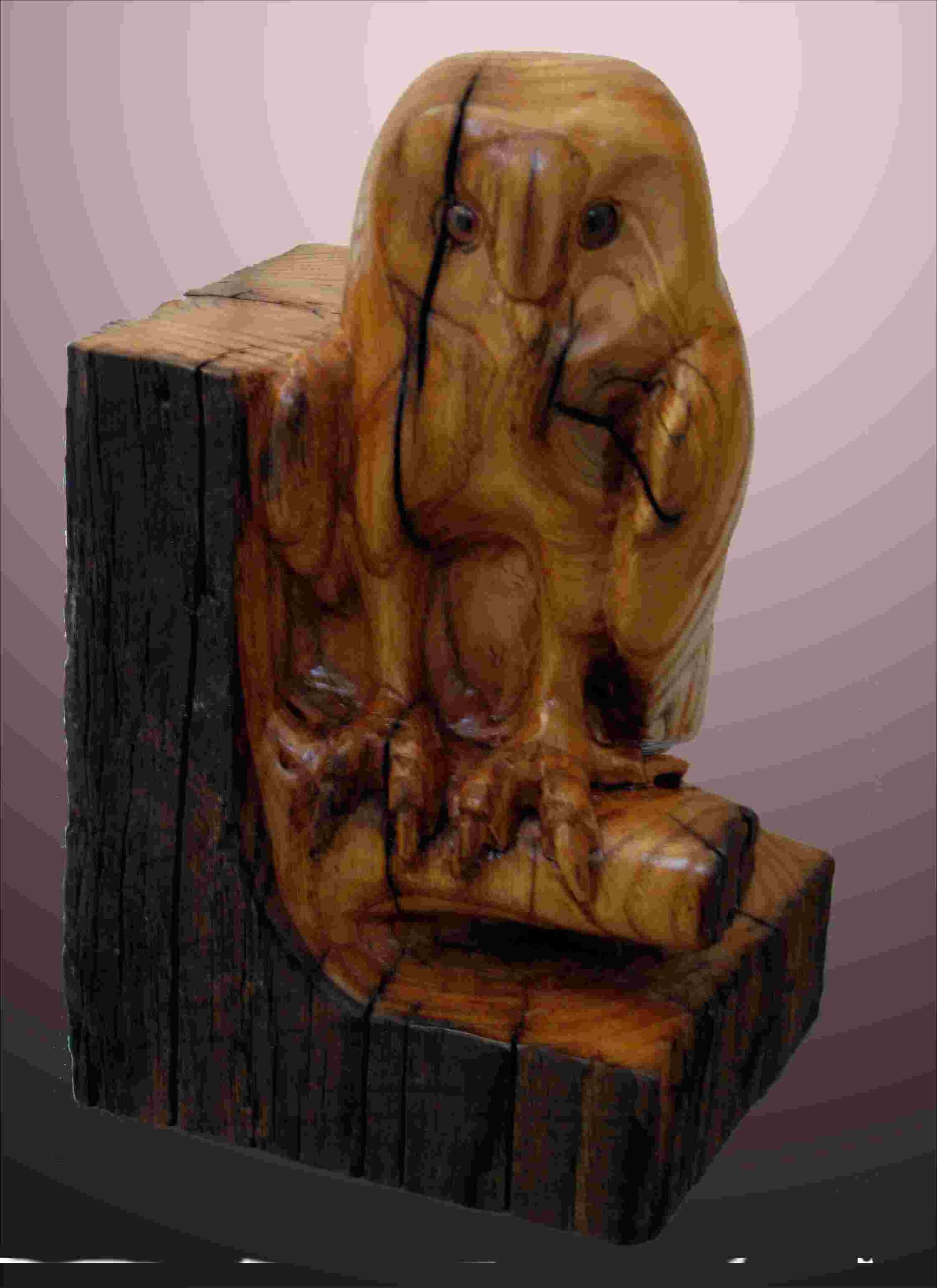 stylized chestnut wood carving of a barn owl by gary carver of carverscarvings