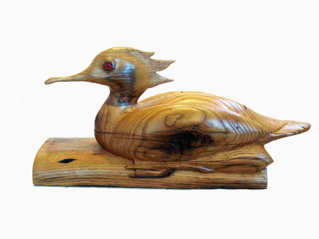 stylized chestnut wood carving of a male red breasted merganser water bird by gary carver of carverscarvings