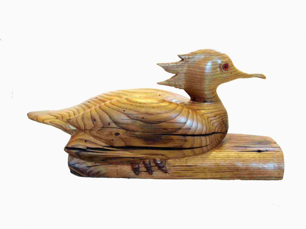 photograph of a stylized chestnut wood carving of a male red breasted merganser duck water bird by gary carver of carverscarvings