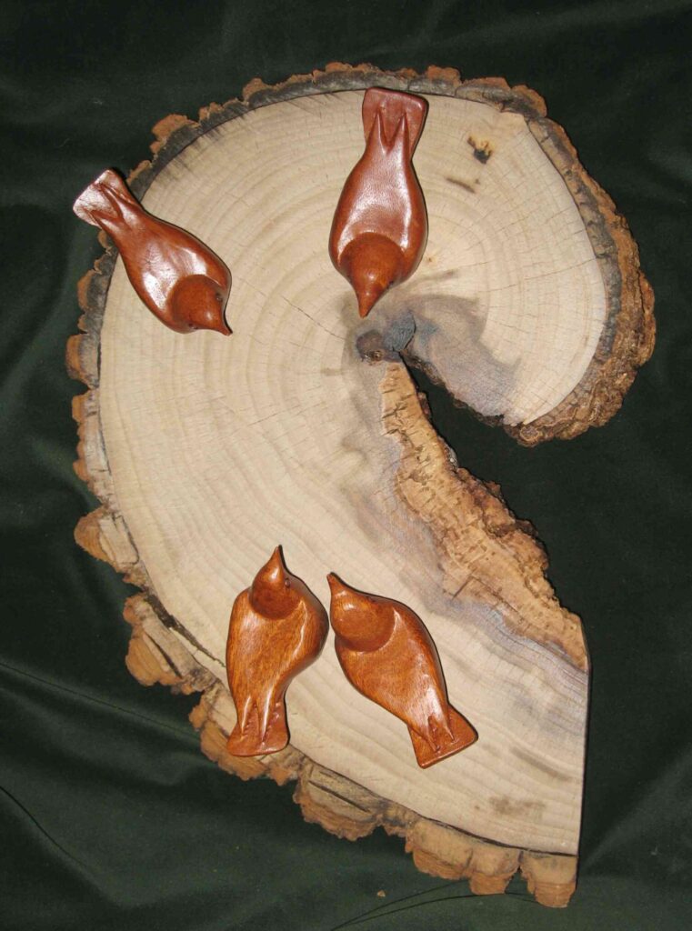 four stylized wood carvings of nuthatches mounted on a cross section of american chestnut by gary carver of carverscarvings