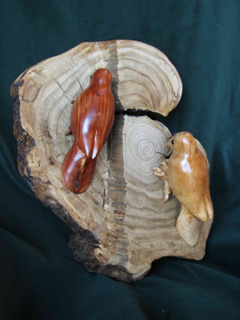 two stylized wood carvings of red cedar and maple nuthatches mounted on a cross section of american chestnut by gary carver of carverscarvings