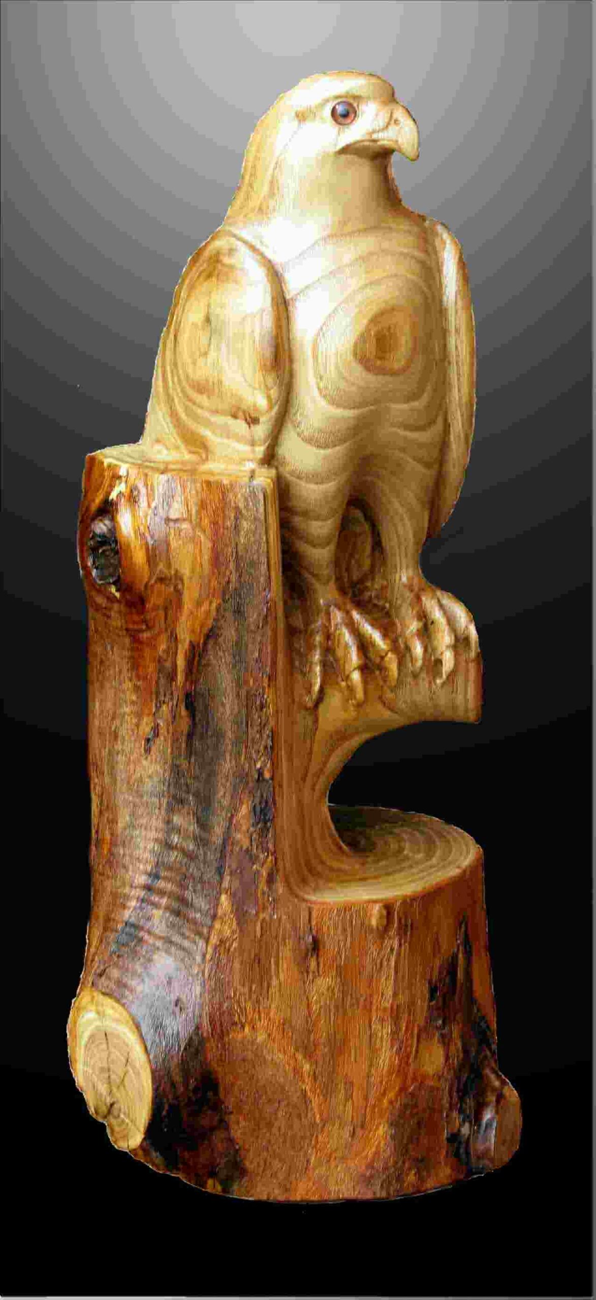 stylized american chestnut wood carving of a peregrine falcon named looking for a target by gary carver of carverscarvings