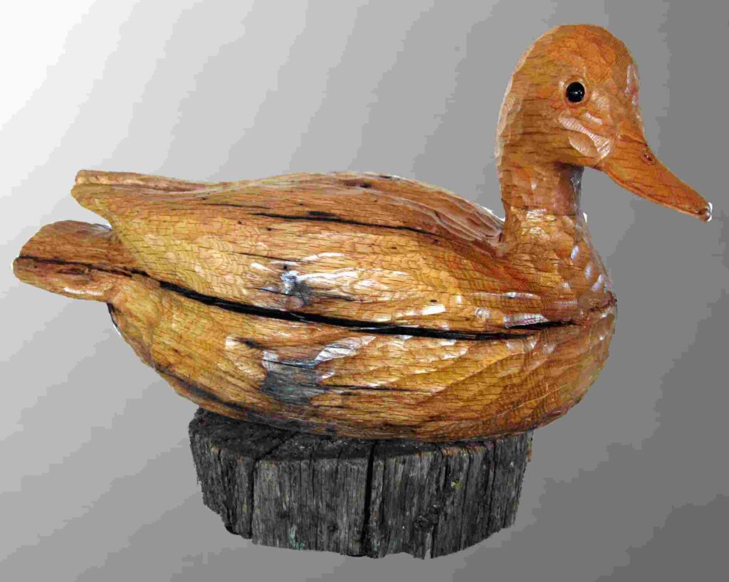 photograph of a stylized chestnut wood carving of a mallard drake duck by gary carver of carverscarvings