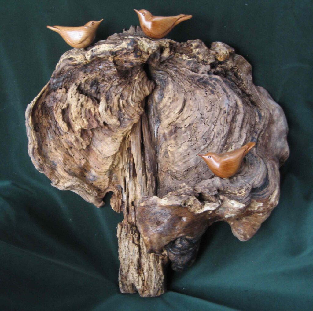 three stylized wood carvings of nuthatch birds mounted on a burl by gary carver of carverscarvings