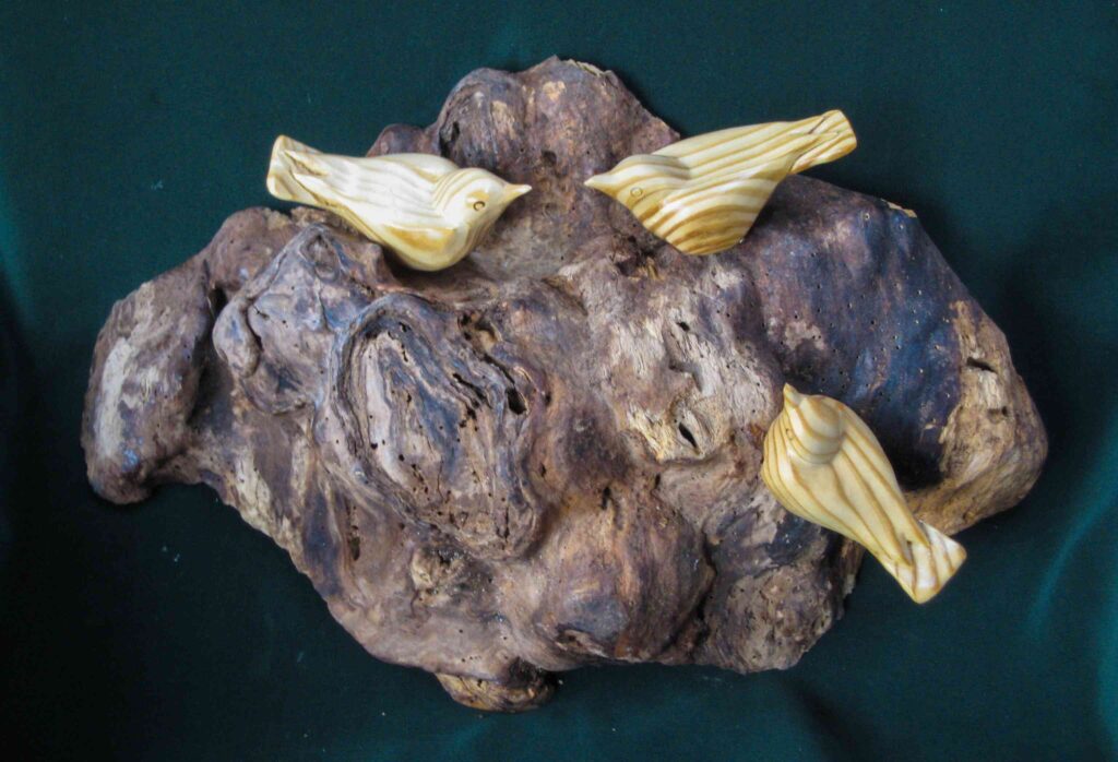 stylized wood carvings of three nuthatches on a burl of chestnut wood by gary carver of carverscarvings