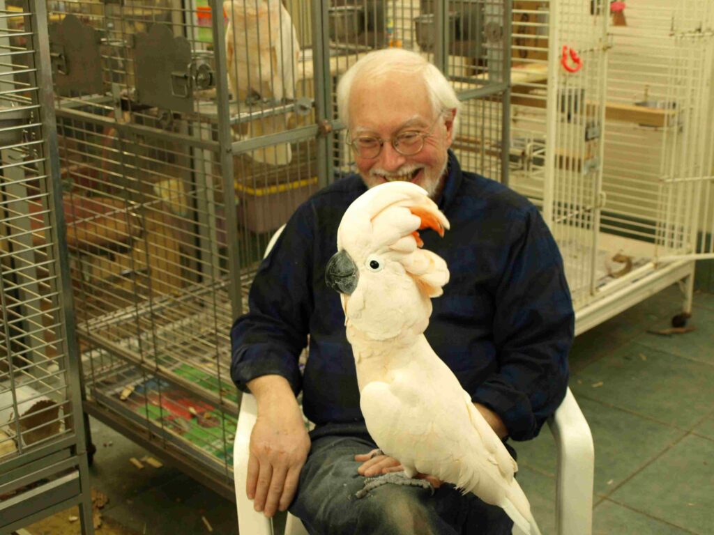 gary carver of carverscarvings sitting with his pet moluccan cockatoo standing in his lap