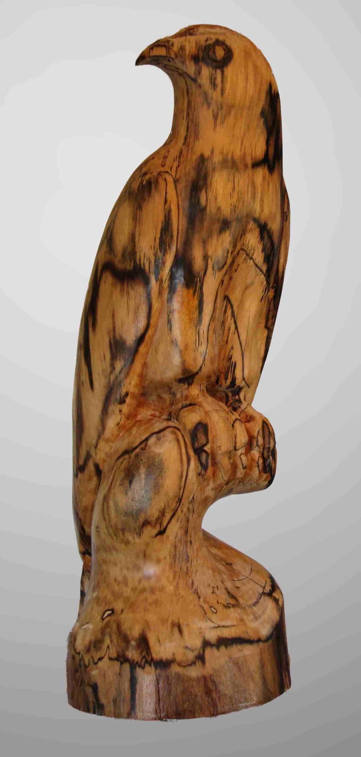 stylized spalted sycamore wood carving of a hawk by gary carver of carverscarvings