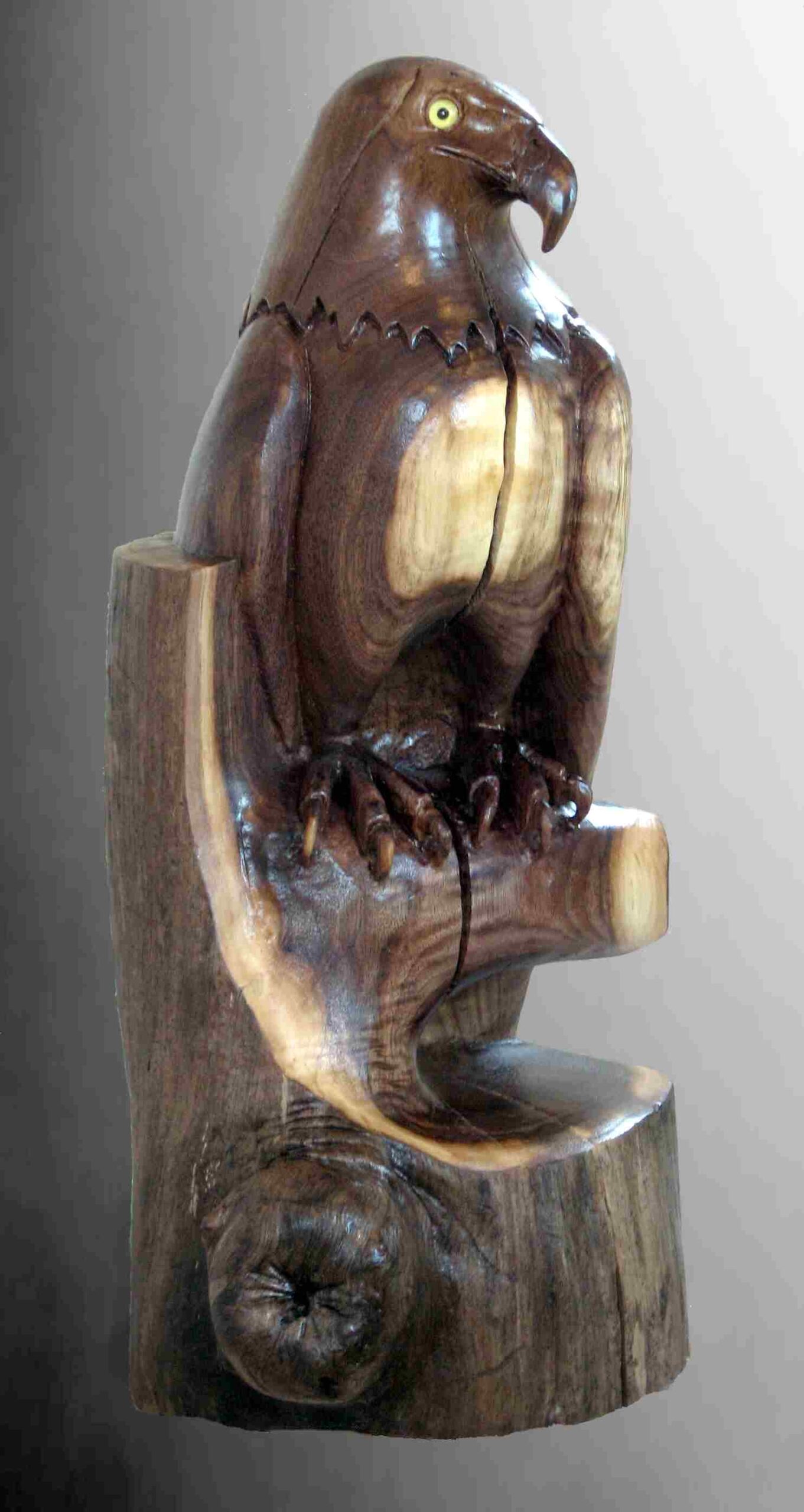 an eagle wood carving by gary carver of carverscarvings