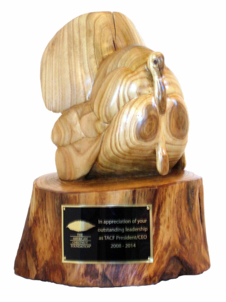 stylized wood carving of a turkey trophy by gary carver of carverscarvings