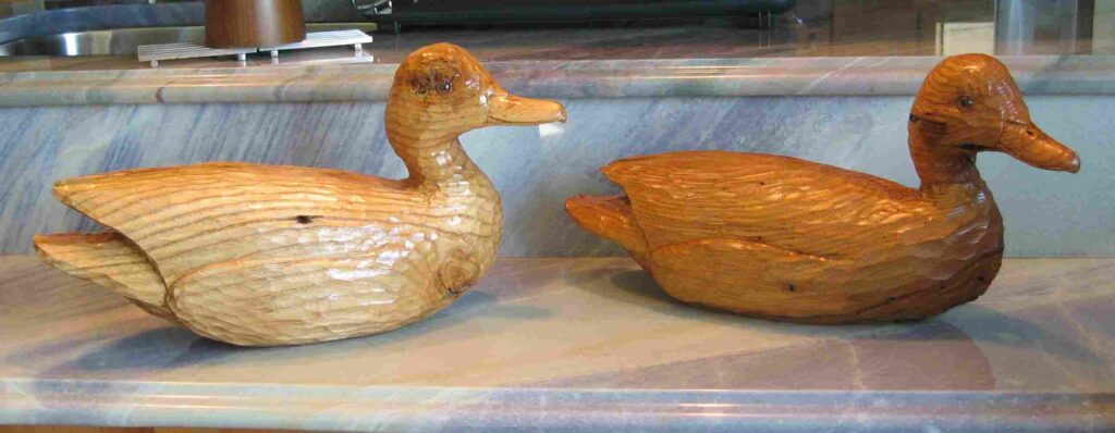 photograph of two stylized chestnut wood carvings of mallard ducks water birds by gary carver of carverscarvings