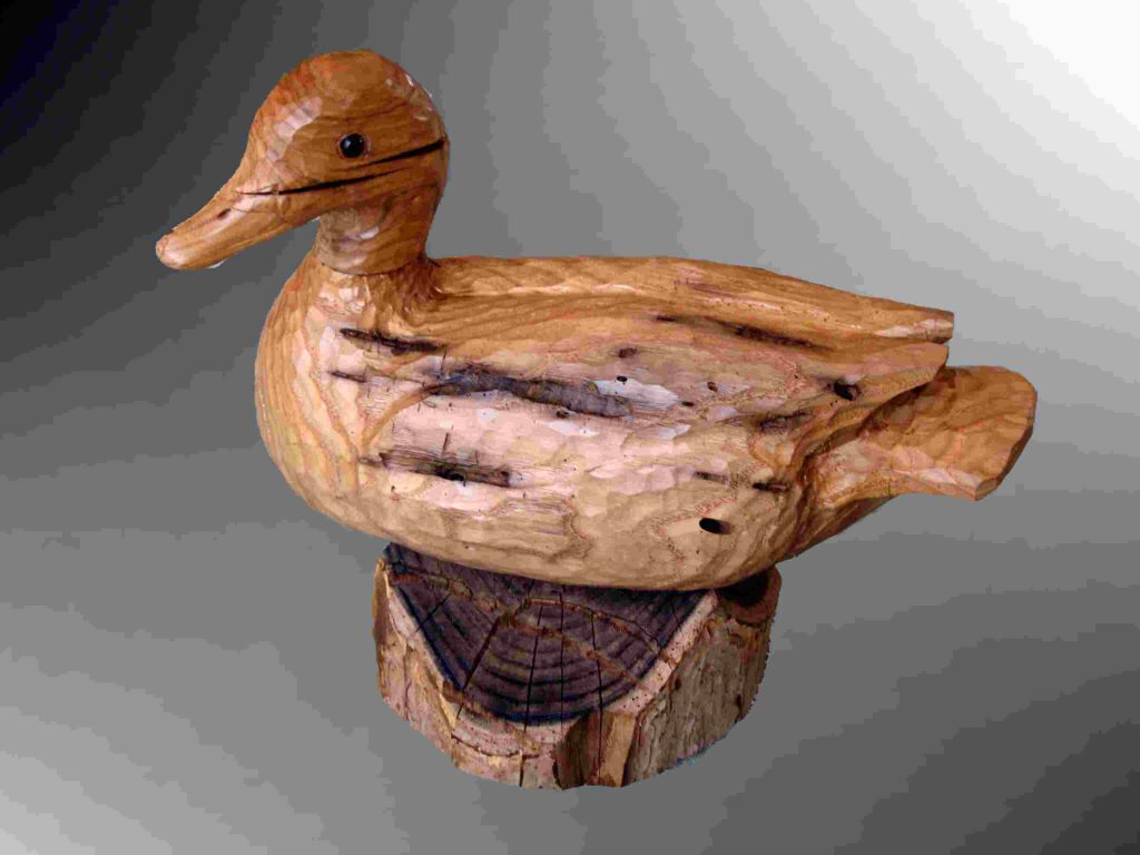 stylized chestnut wood carving of a mallard drake duck by gary carver of carverscarvings