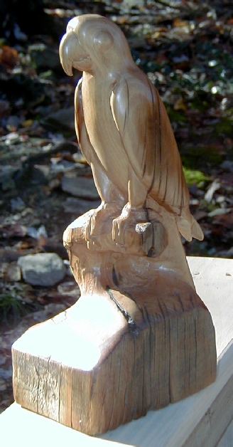 stylized maple wood beam carving of a macaw by gary carver of carverscarvings